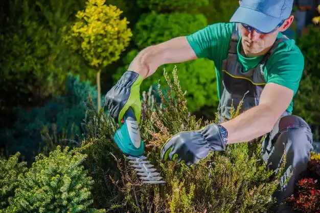 landscaping services Paw Paw